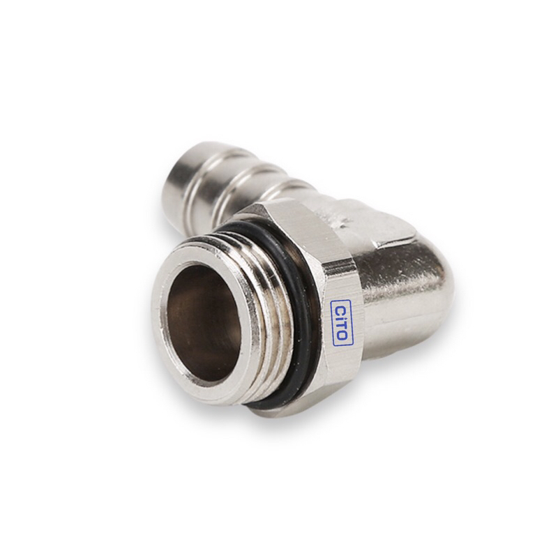 Co vuông đuôi chuột