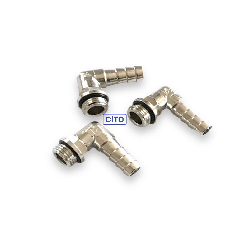 Co vuông đuôi chuột