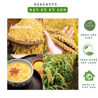 Hạt kê nếp vàng bebenuts loại thượng hạng kỳ sơn, nghệ an