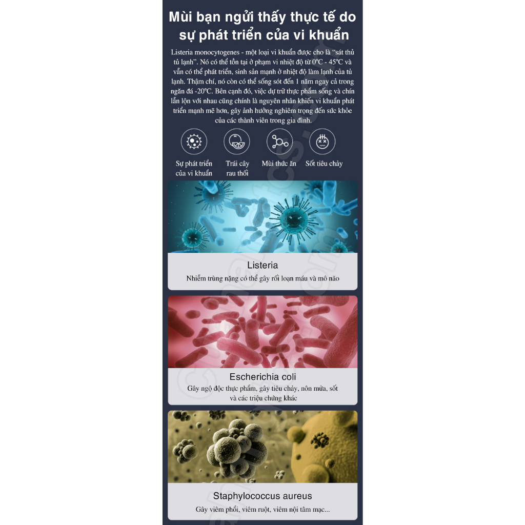 Máy khử mùi tủ lạnh thông minh XM EraClean Max CW-BS01