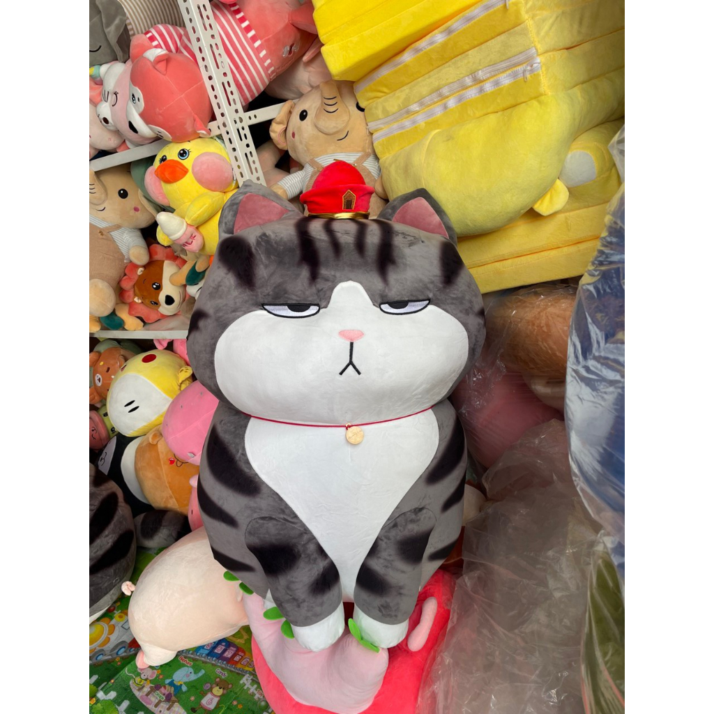 Gấu Bông Mèo Than Tài
