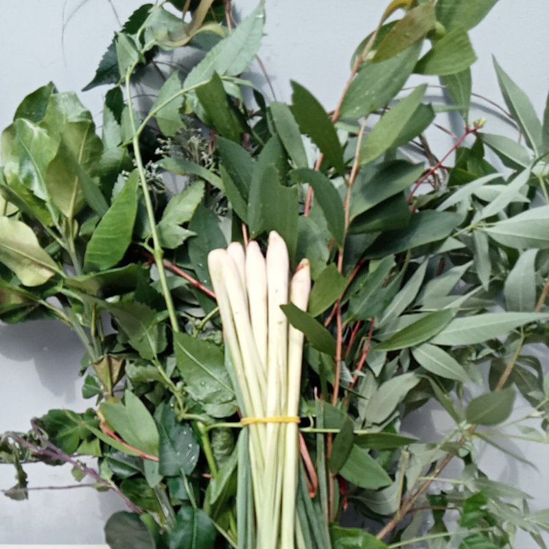 Lá xông hơi mat xa  lá xông hơi