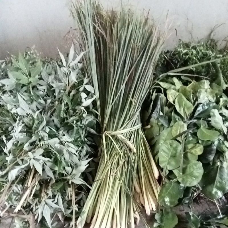 Lá xông hơi mat xa  lá xông hơi