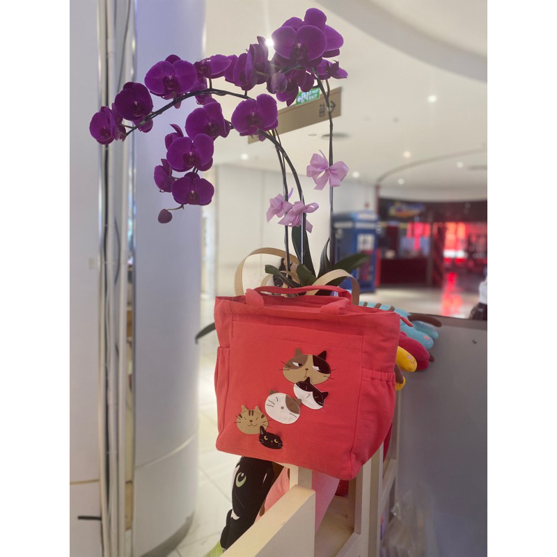 Túi đeo vai HIKOSEN CARA