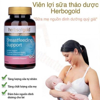 Viên uống lợi sữa Breastfeeding support 60v