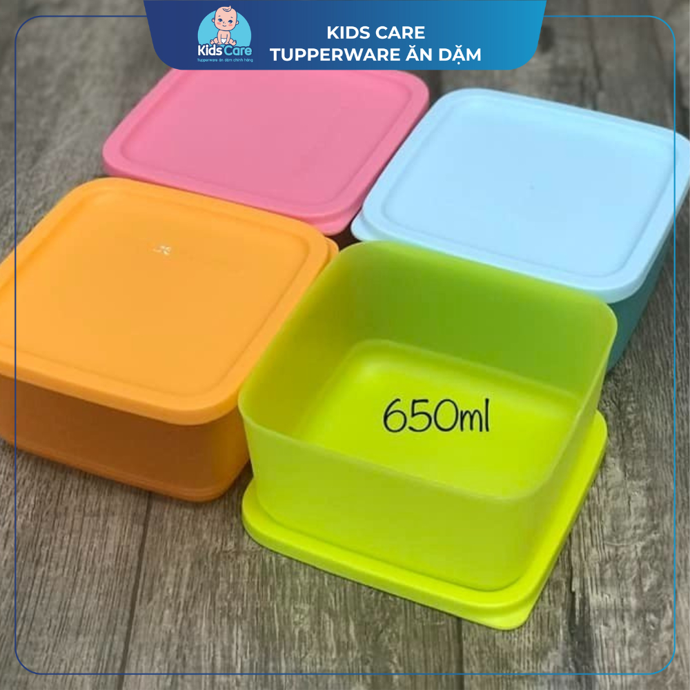 Bộ hộp sắc màu vuông thấp 650ml