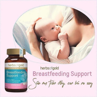 Viên uống lợi sữa Breastfeeding support 60v