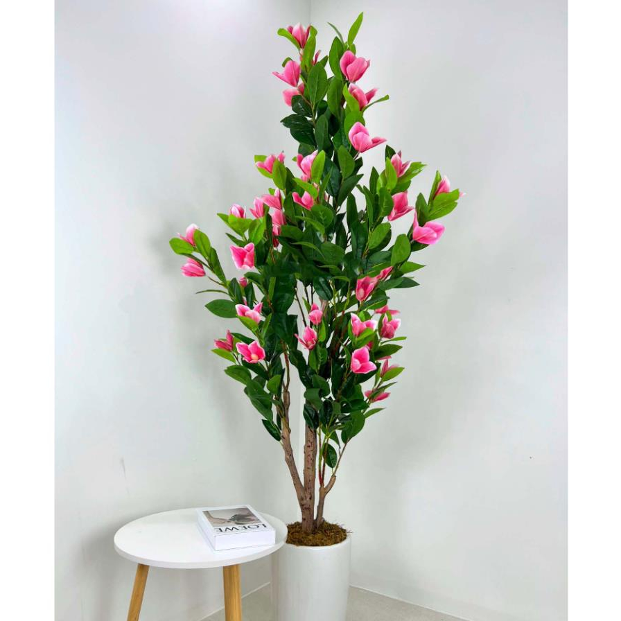 [FREESHIP] CÂY GIẢ  CÂY HOA MỘC LAN BÔNG TO CAO 1,7M TRANG TRÍ DECOR NHÀ CỬA BỀN ĐẸP (Hà Nội ship trong ngày)