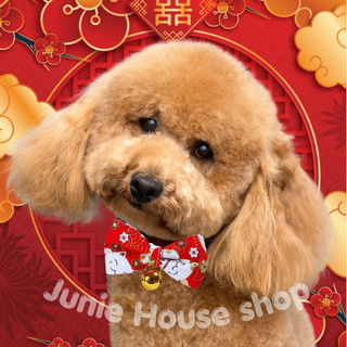 Vòng cổ nơ chuông cho chó mèo họa tiết