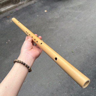 Sáo Mèo Nam Nứa