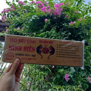 Keo Dính Chuột Siêu Sịn combo 2 cái