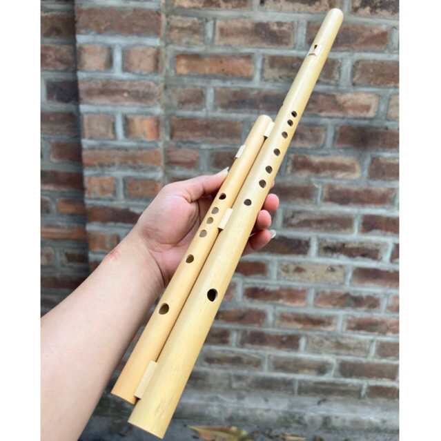 Sáo Mèo Kép Nứa Nam