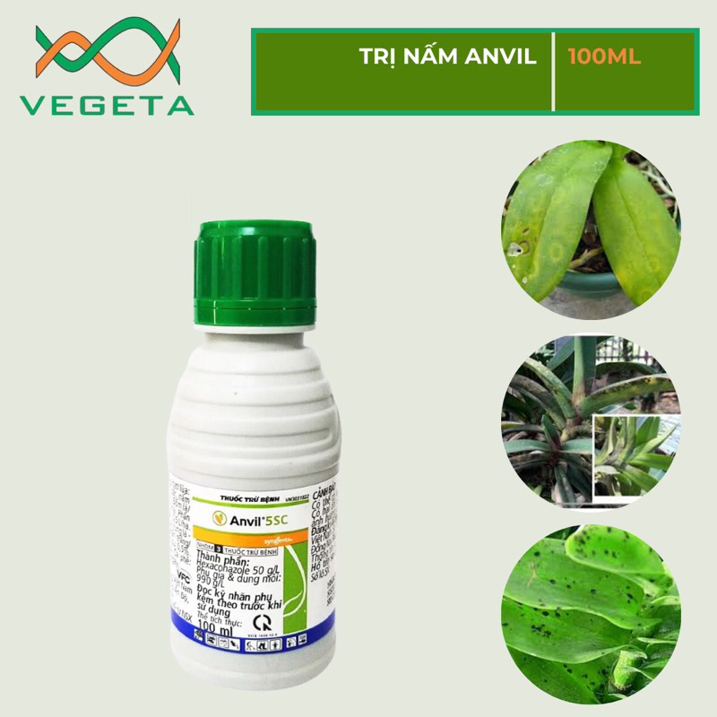 Thuốc Trị Nấm ANVIL 100ml Cho Hoa Hồng, Cây Kiểng, Phong Lan