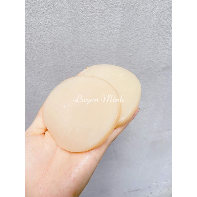 Scoby con giống làm trà kombucha kèm nước mồi siêu khoẻ