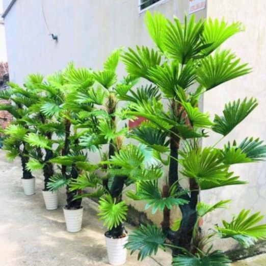 CÂY GIẢ  CÂY CỌ GIẢ TRANG TRÍ CAO 1,8M TRANG TRÍ DECOR NHÀ CỬA BỀN ĐẸP