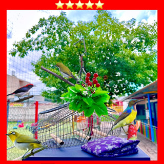 Lồng INOX Bẫy Chim Khuyên, Sâu, Hút Mật, Huýt Cô, Tiêu Mi, Ốc Mít