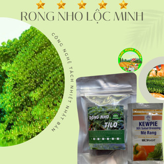 [FREESHIP] 100gr Rong nho tách nước rong loại 1, mua 10 tặng 1, mua 18 tặng 2, mua 35 tặng 4, mua 70 tặng 9 rong ngon.