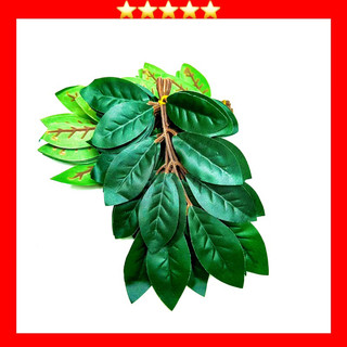Lá lợp lồng bẫy, lá bồ công anh loại 1 lá to