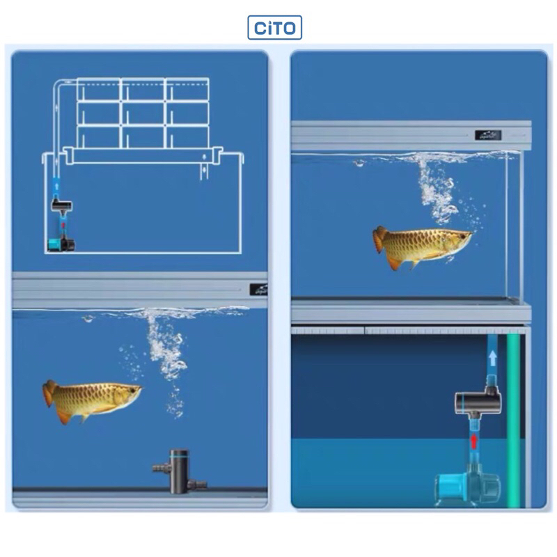 Đèn uv hồ cá - chaning có hẹn giờ