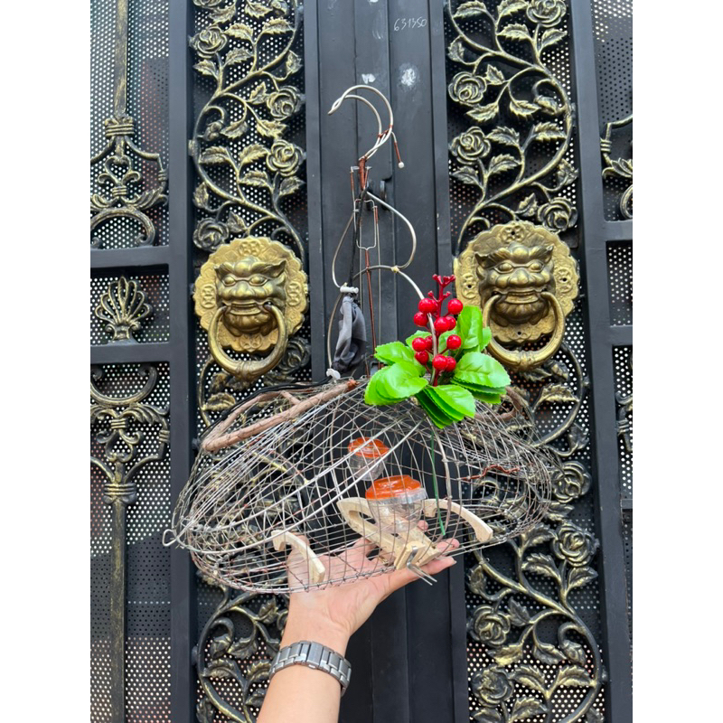 Lồng bẫy chào mào Sài Gòn tặng kèm phụ kiện