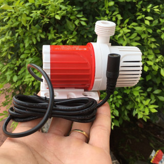 Bơm chìm 12V 20W 1200L/H