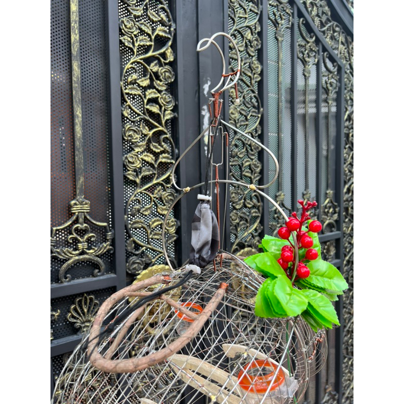 Lồng bẫy chào mào Sài Gòn tặng kèm phụ kiện