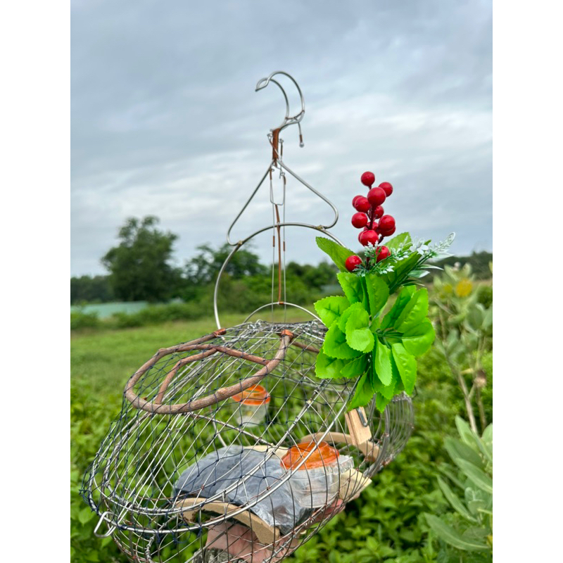 Lồng bẫy chào mào Sài Gòn tặng kèm phụ kiện