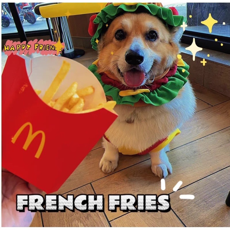 Mũ đội đầu cosplay Nhà của Ú Hình Bánh Hamburger Hoạt Hình Vui Nhộn Cho Thú Cưng Chó Mèo