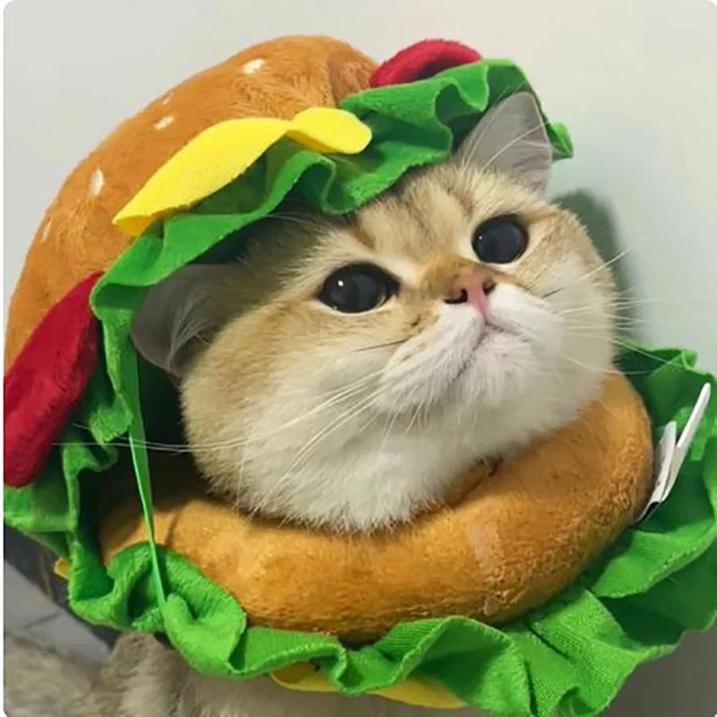 Mũ đội đầu cosplay Nhà của Ú Hình Bánh Hamburger Hoạt Hình Vui Nhộn Cho Thú Cưng Chó Mèo
