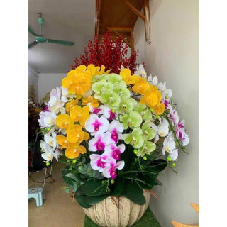 Cành lan hồ điệp 5 bông- bình lan hồ điệp giả
