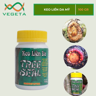 [ Chất Lượng ] Keo Đen Mỹ 100g -VEGETASHOP - Keo Liền Da - Keo Liền Sẹo Cây Cao Cấp