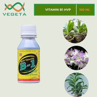 [ Dùng Là Hiệu Quả ] Vitamin B1 - VEGETASHOP - Kích Ra Hoa B1 100ml