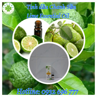 Tinh dầu Chúc Lime essential oil - 10ml/50ml/100ml