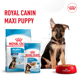 hạt khô thức ăn cho chó con dưới 15 tháng tuổi Royal Canin maxi puppy 1kg sản xuất tại pháp