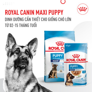Thức ăn cho chó con size lớn dưới 15 tháng tuổi Royal Canin maxi puppy 10kg sản xuất tại pháp