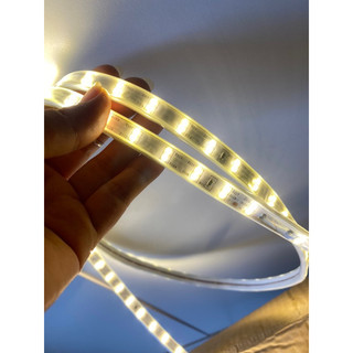 1M Đèn led dây đôi 2835 2 hàng, dây led hắt trần