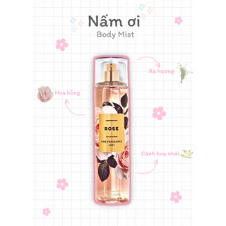  Xịt thơm toàn thân - 𝐑𝐎𝐒𝐄 - BATH & BODY WORKS