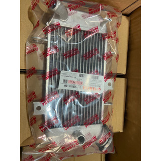 Bộ két nước tản nhiệt xe airblade 110/ click 110/ airblade 125/ sh mode/ lead 125/ click thái - vario 125/ ex135-150