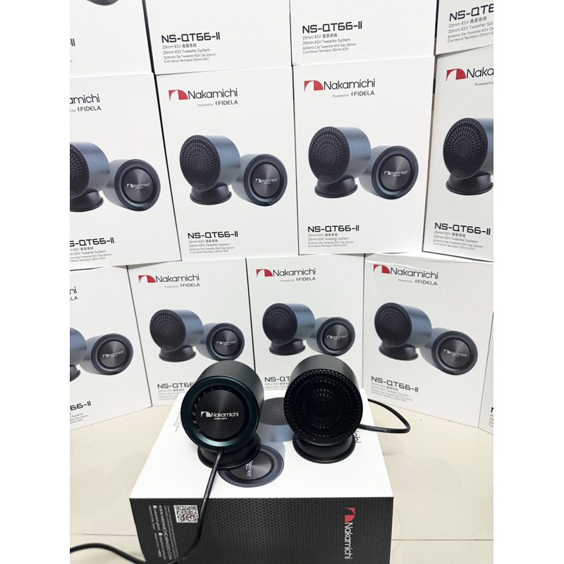 Loa Nakamichi NS-QT66-II