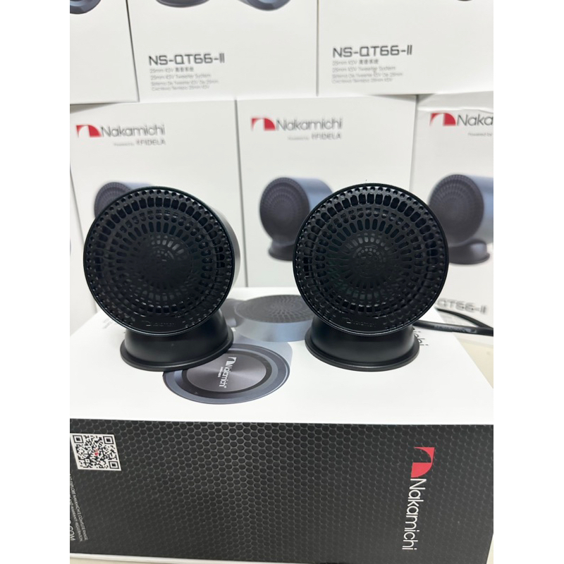 Loa Nakamichi NS-QT66-II