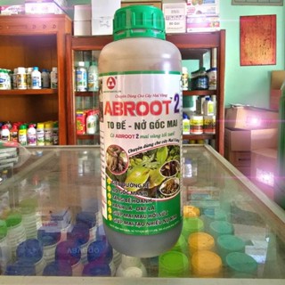 Abroot 2 Nở Đế To Gốc 1lit