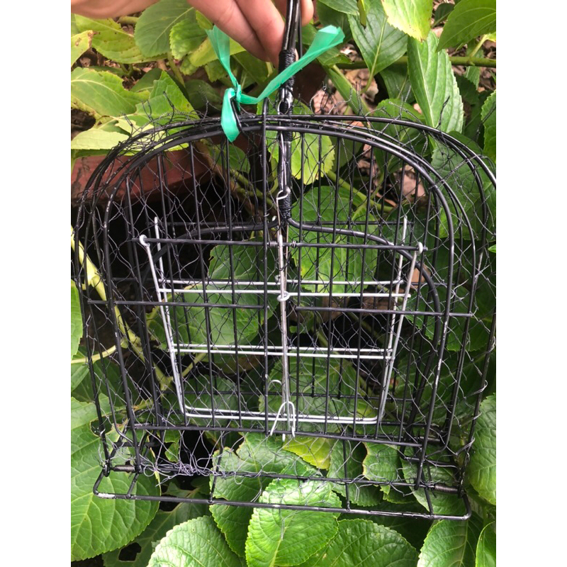 Mẹt bẫy chim cút 2 mặt