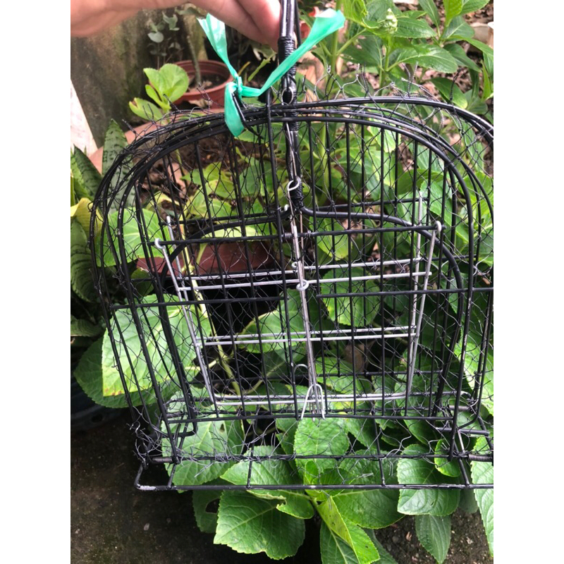 Mẹt bẫy chim cút 2 mặt