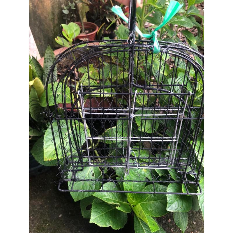 Mẹt bẫy chim cút 2 mặt