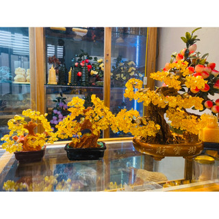 Cây Thạch Anh thiên nhiên