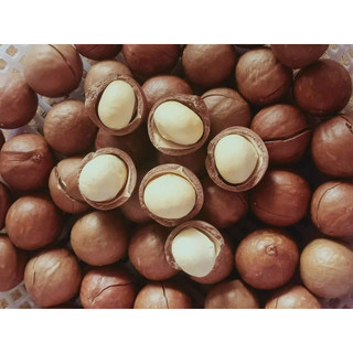 Macca Sấy nứt 500g, size lớn