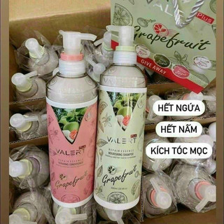 Bộ dầu gội xả bưởi grapefruit valert hỗ trợ mọc tóc, nuôi dưỡng giảm rụng tóc 850ml