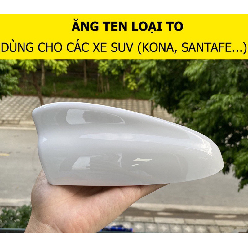 Vây cá Ăngten bản to TERRITORY, SANTAPHE, KONA, TUCSON. . .