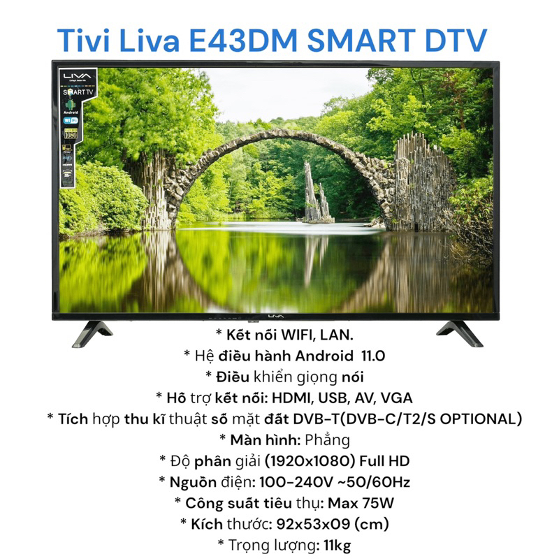 Tivi Liva E43DM SMART