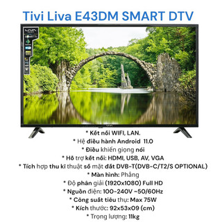 Tivi Liva E43DM SMART
